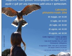 Passeggiate tra Civitella e Rocca di Calascio: tra suggestione e animali selvatici